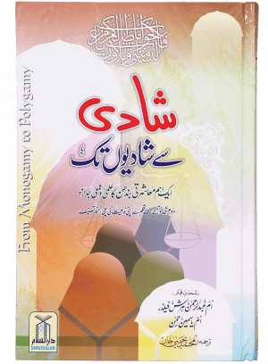 Shadi se Shadiyo Tak